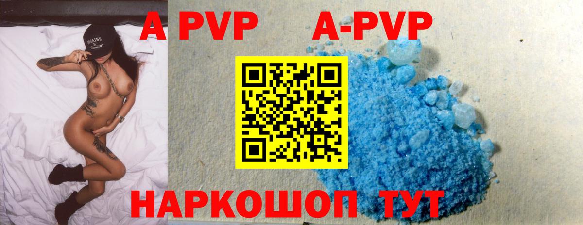 A-PVP СК КРИС Сальск