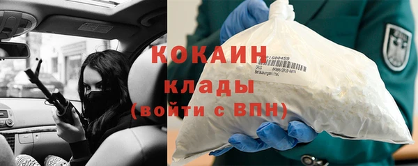 ПСИЛОЦИБИНОВЫЕ ГРИБЫ Каменногорск