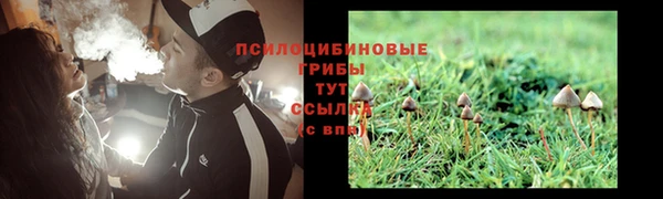 ПСИЛОЦИБИНОВЫЕ ГРИБЫ Каменногорск