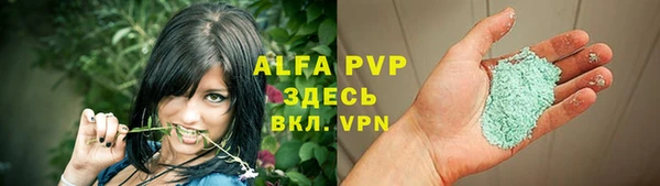 гашик Белокуриха