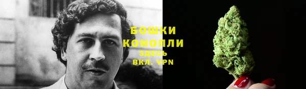 ПСИЛОЦИБИНОВЫЕ ГРИБЫ Каменногорск