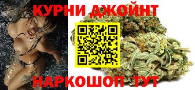 гидра Можга