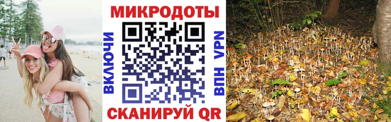 Галлюциногенные грибы мухоморы закладка Сальск