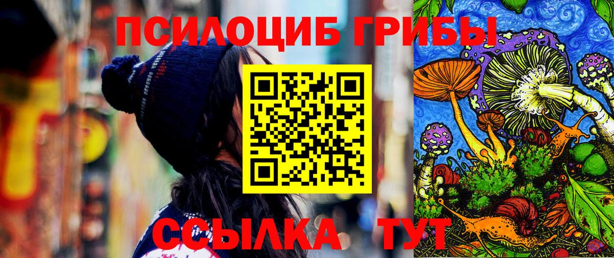 Псилоцибиновые грибы Magic Shrooms Сальск