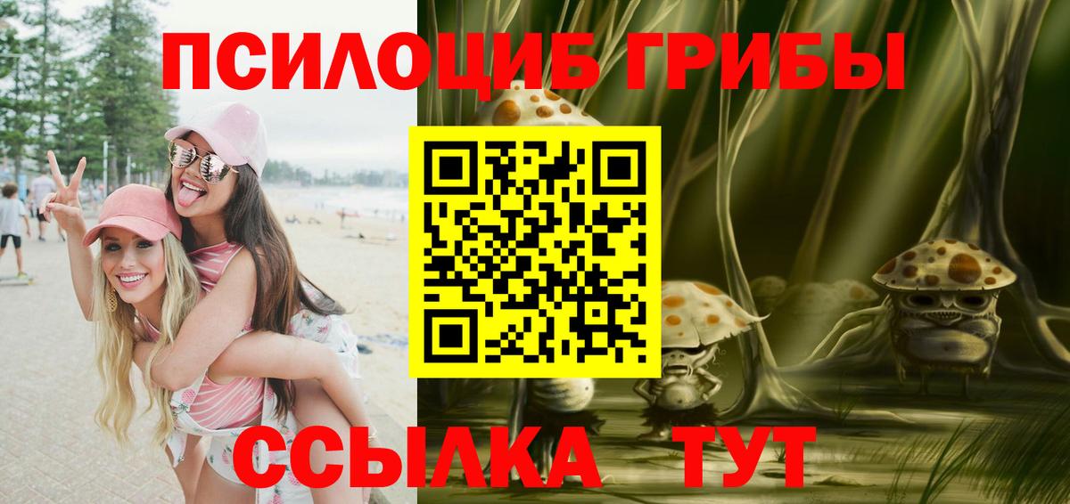 Галлюциногенные грибы мицелий  цена   Сальск  Вход с VPN 